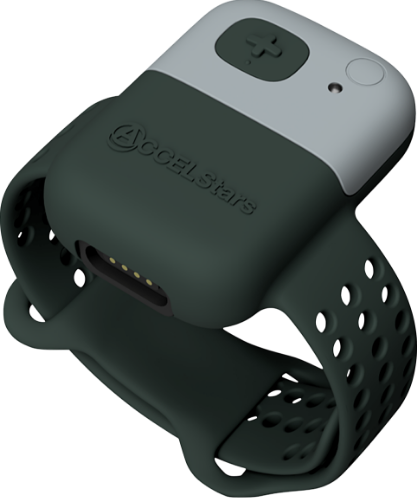 Actigraph Sensor 'ACCEL ATRIA' Visual Image